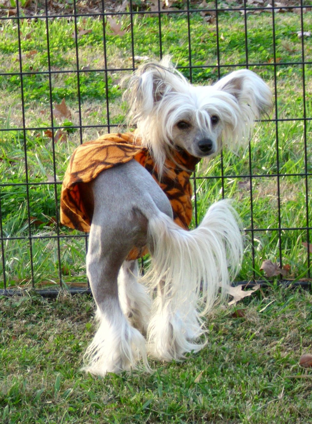 Getty Up And Go At Hhc