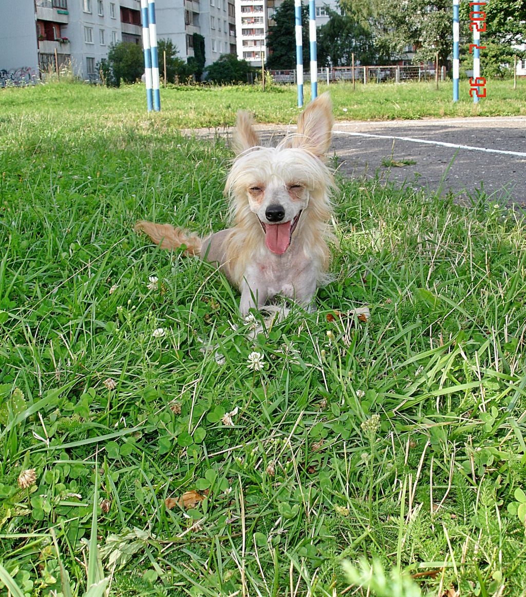 Rouber Balt Talisman Li