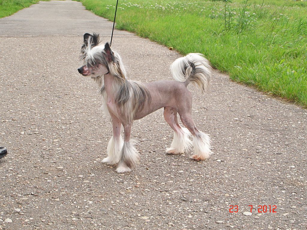 Rouber Balt Tequila Li