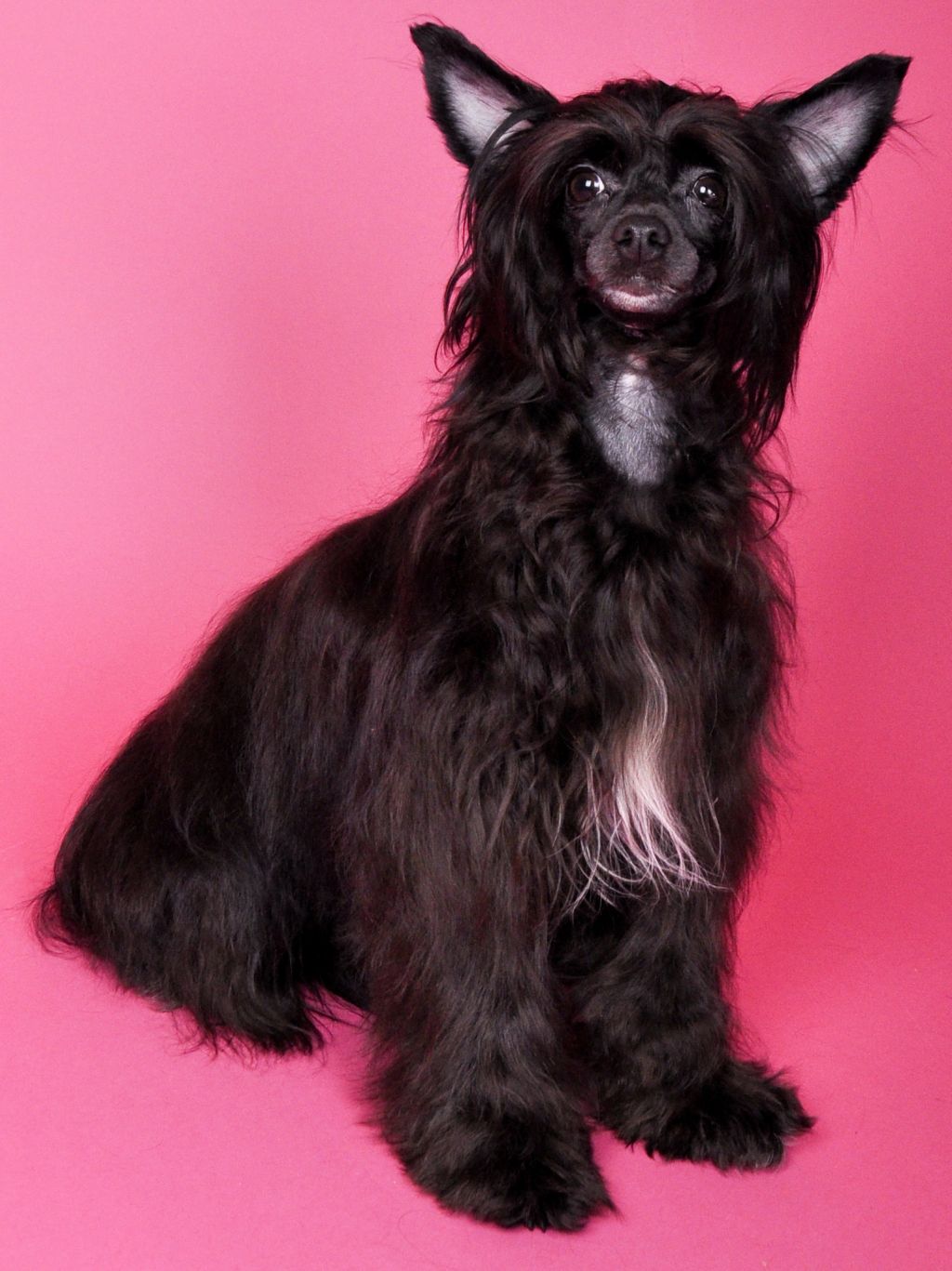 Vologodskiy Souvenir Aly Tsvetochek