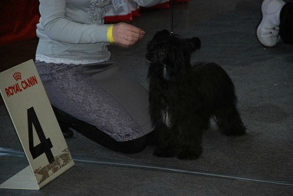 Vologodskiy Souvenir Aly Tsvetochek