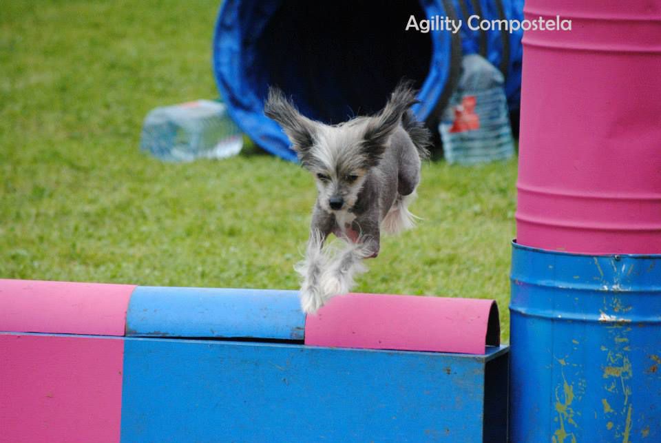 Rhapsody of passion de Almamasan