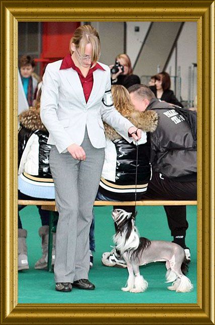 Clan of Stork's Kornflake