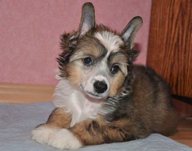 Orero Lovely Equilibrium