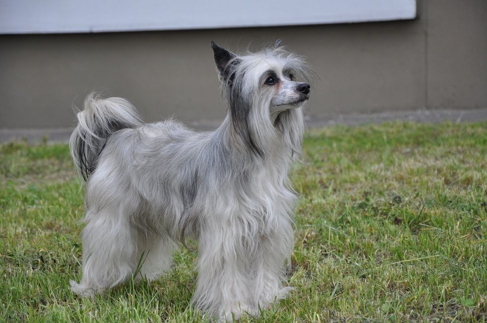 Orero Lovely Emmanuel