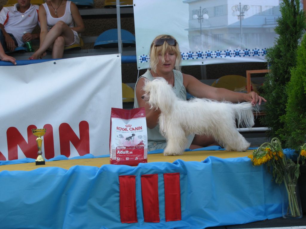 Astra Belaya iz Goroda Slavy