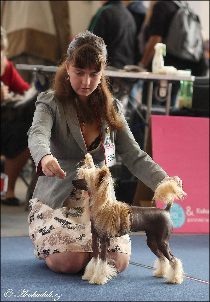 Ch. Alfa Laval Fortuna