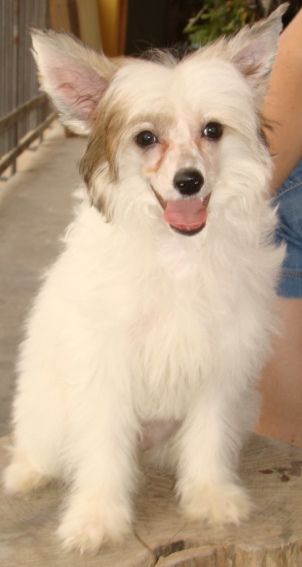 Mal'vina Ocarovanie Doma Romanoviyh