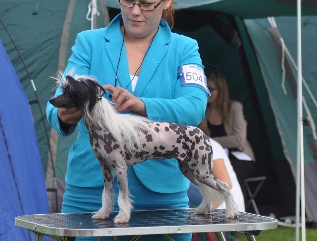 Poulot's Fame And Fortune