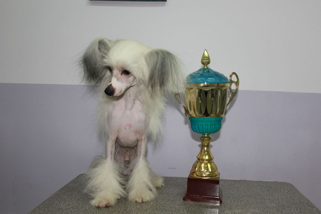 Gallurius Ezhy Son of  Ravi