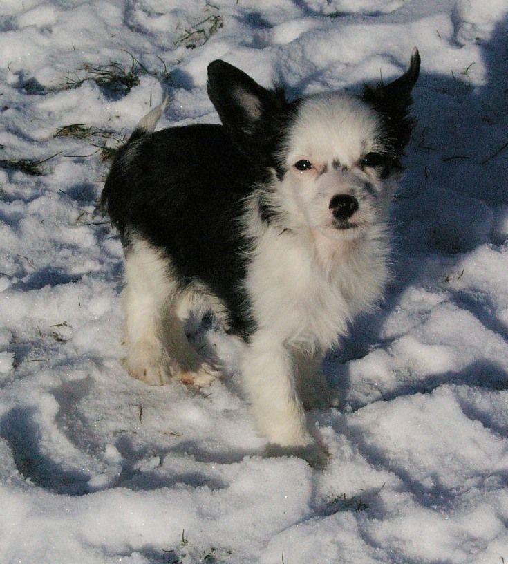 Blue Magic  Highly Unholy