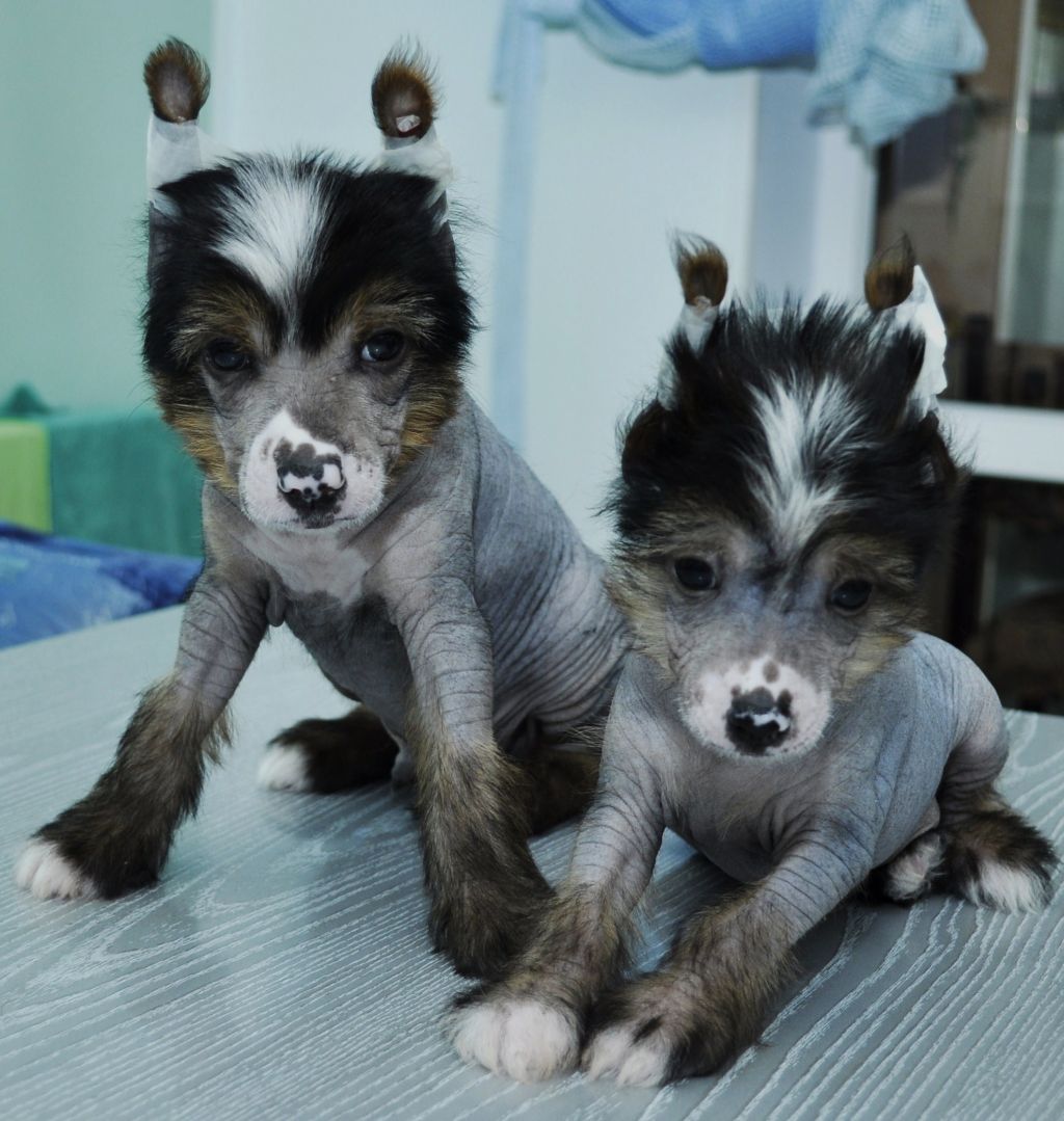 Helen Hope 's Bili Bob