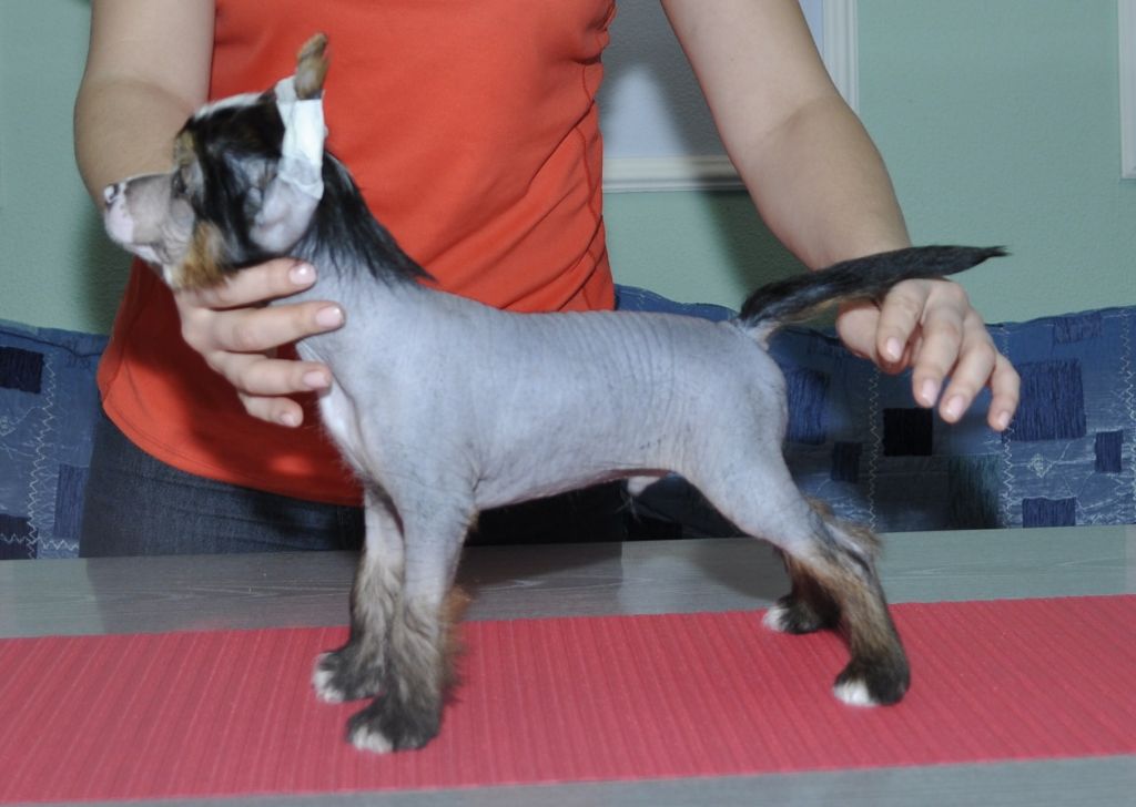 Helen Hope 's Basmach