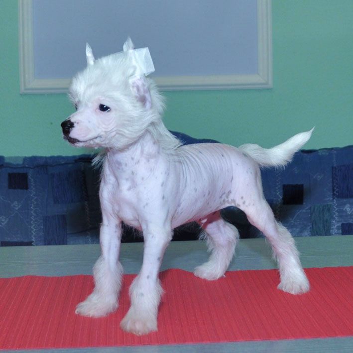 Helen Hope 's Boston