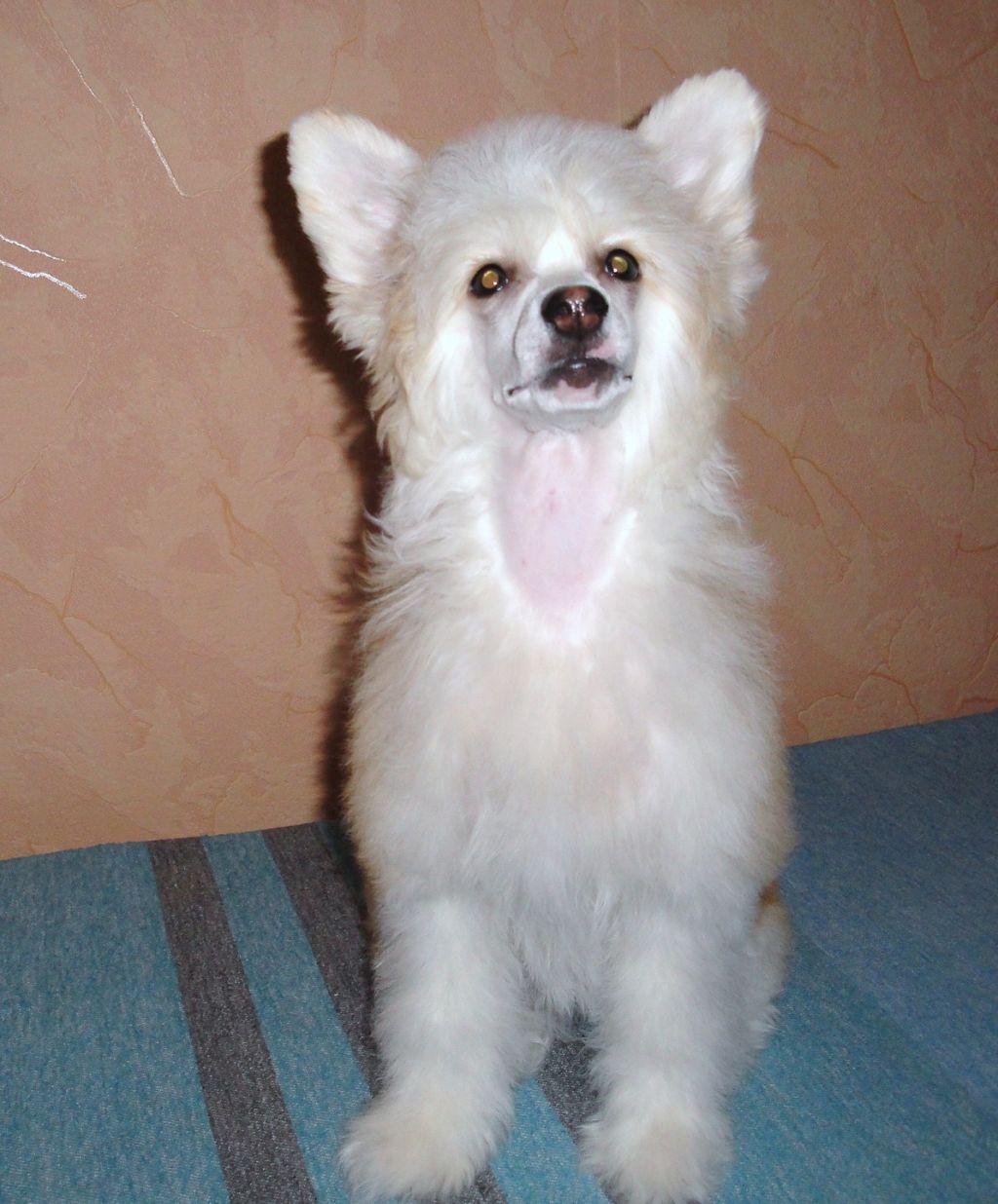 Euphoria Chateau Lafite