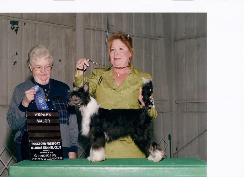 Shadow Hill Leisure Suit Larry At Edelweiss