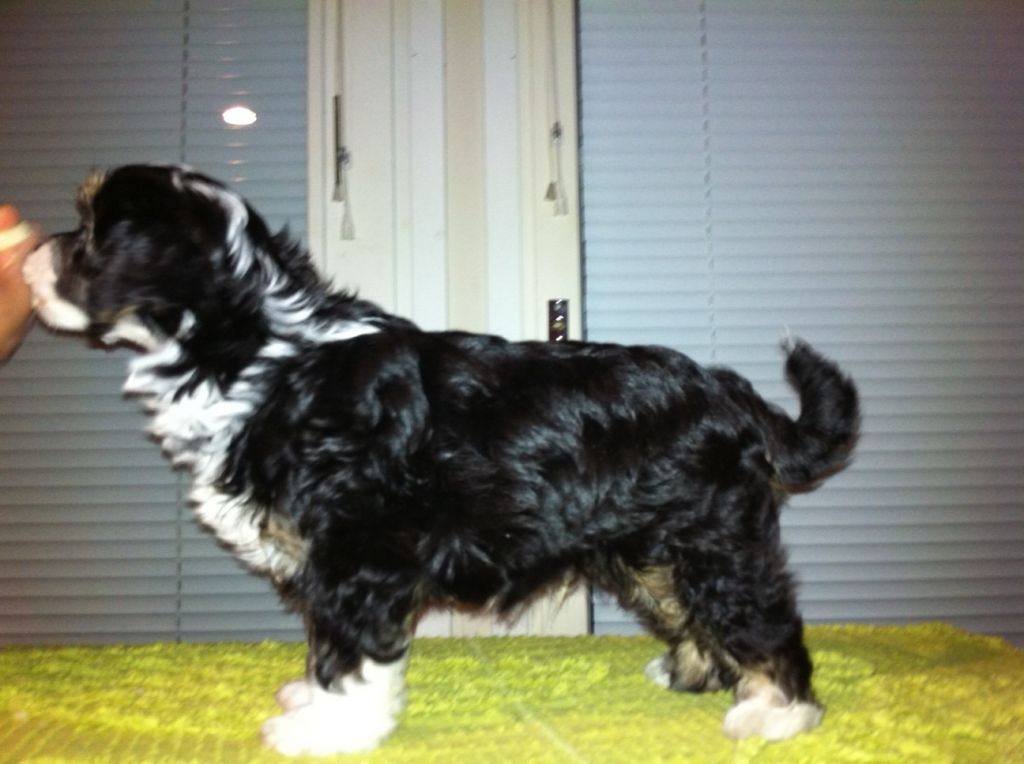 Chattanooga's Only One