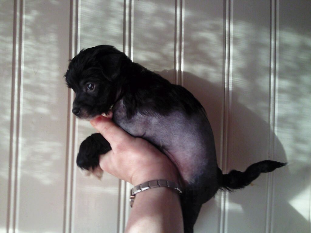 Tournais Only Hurts When I Laugh