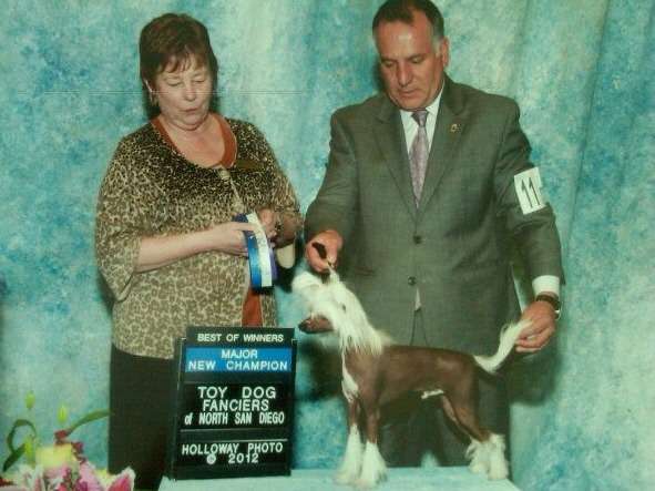 Am Ch Patagonia Ranch Romeo