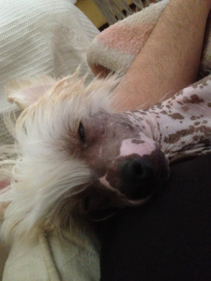 Magnus Staff Dollar Million Baby