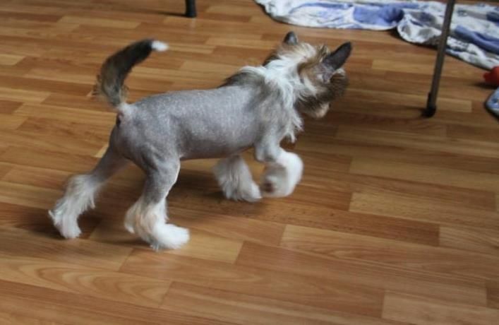 Zheneva-Debjut Spartak