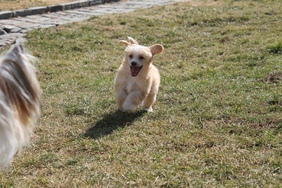 Frederick Queen Malverne