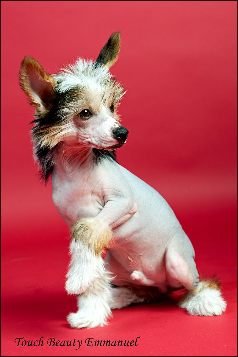 Touch Beauty Emmanuel