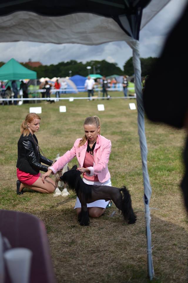 Legend of the Darkness de Fageiro