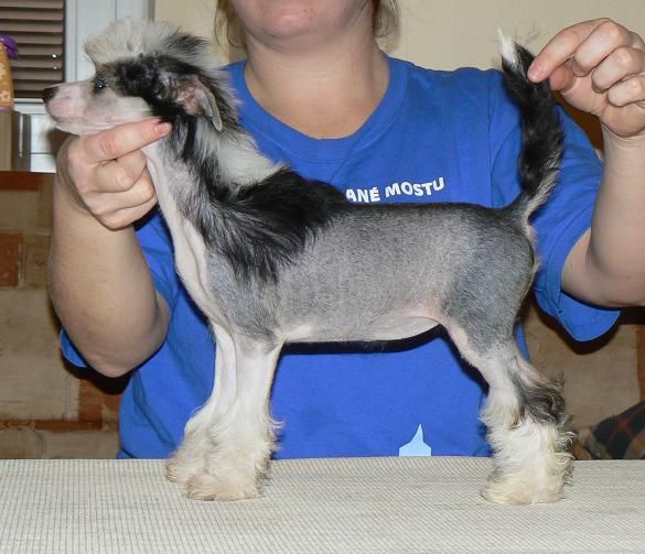 Dark Princess Little Sweetie