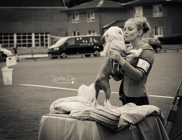 Instant Magic  Sasima (fci)