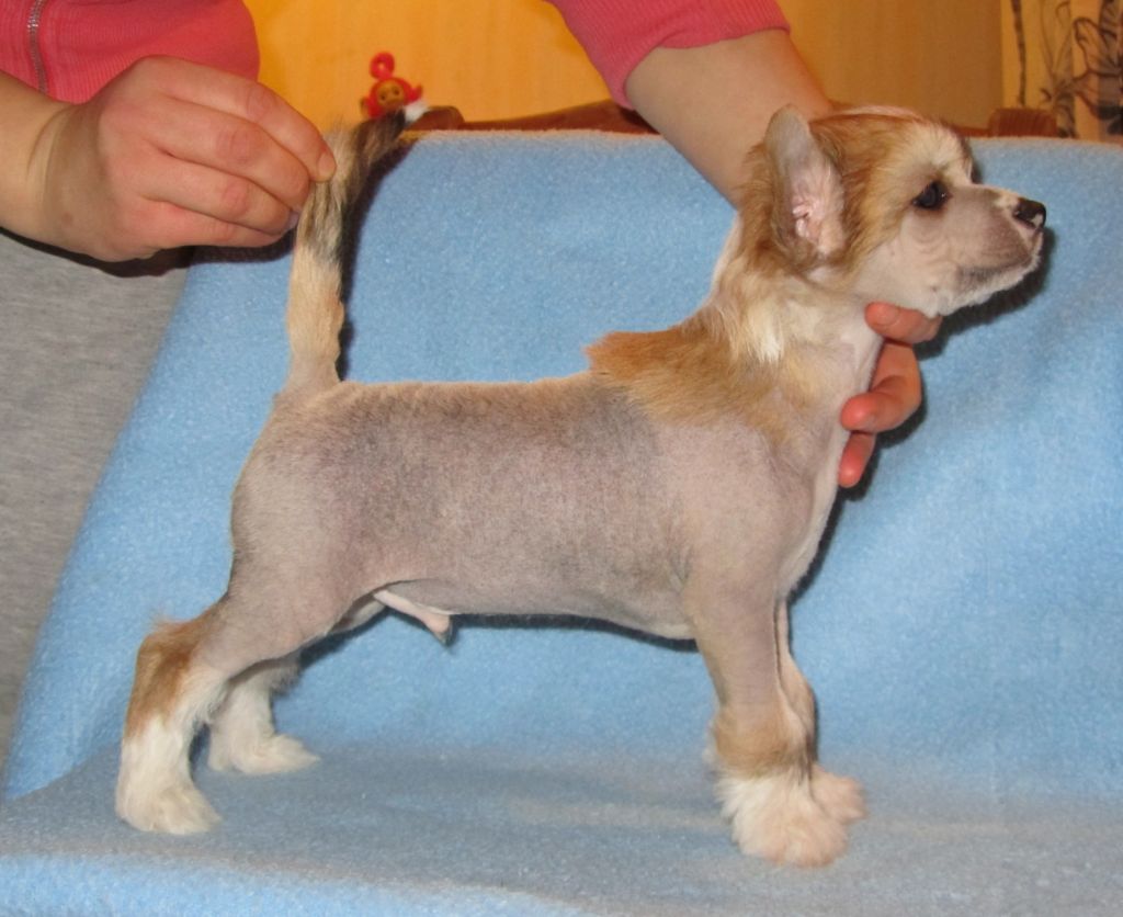 My Spell Brings Me Joy