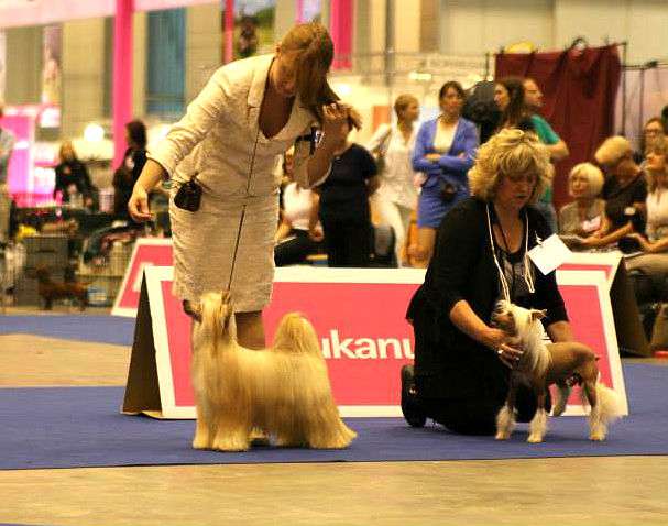 Olegro Katrin Almandzor dlya Ozi