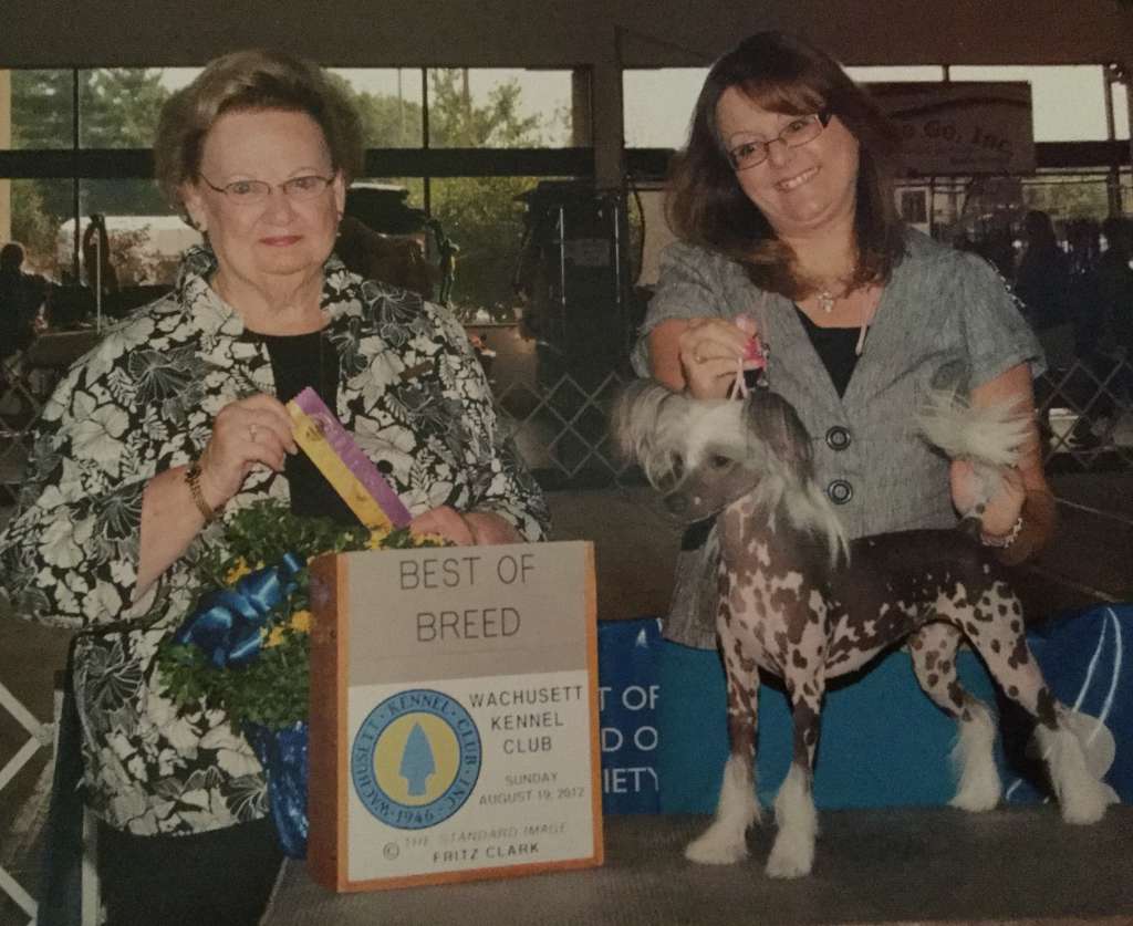 Debe's Divine Diamond at Jewels