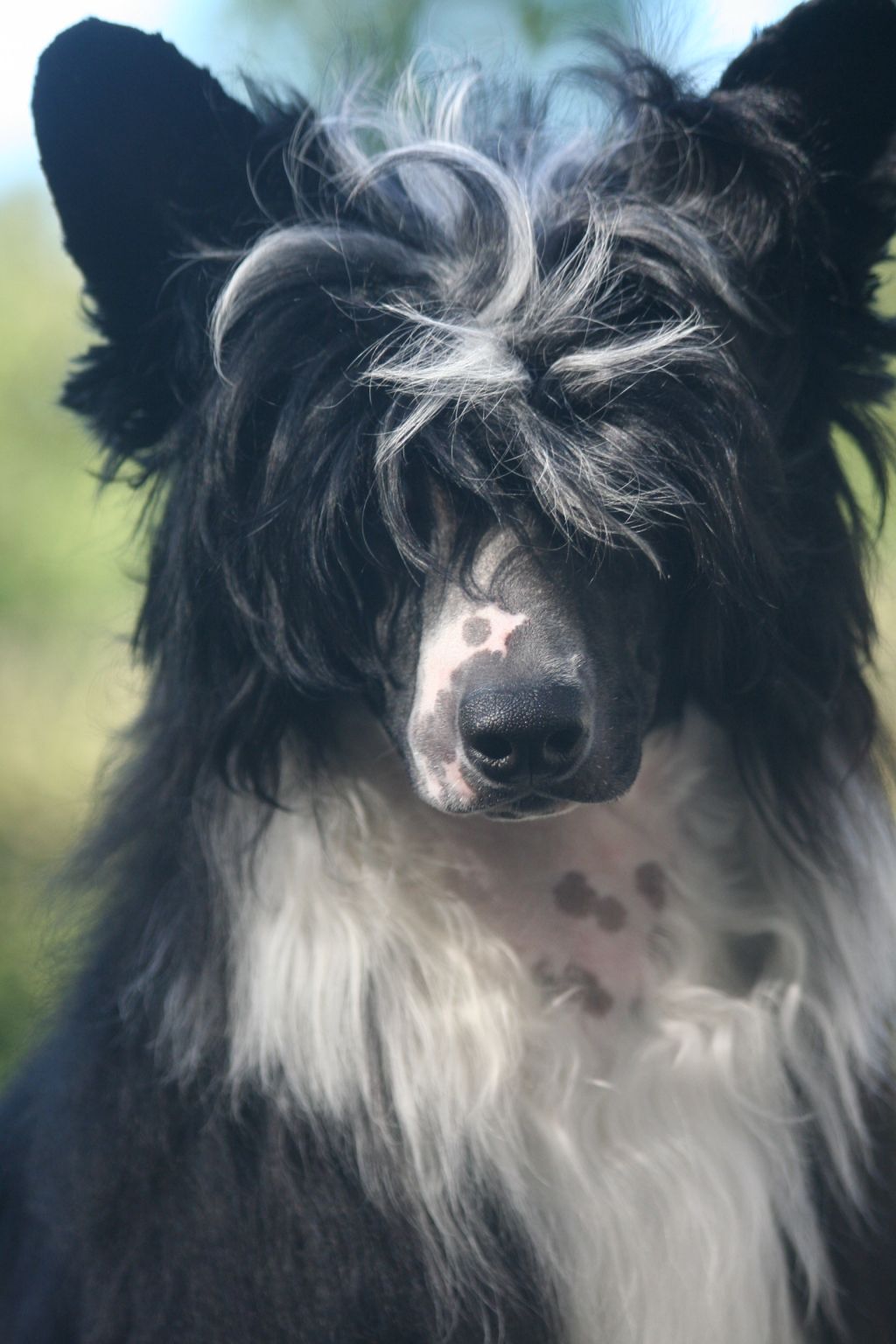 Dresscode-Zero Laid Black