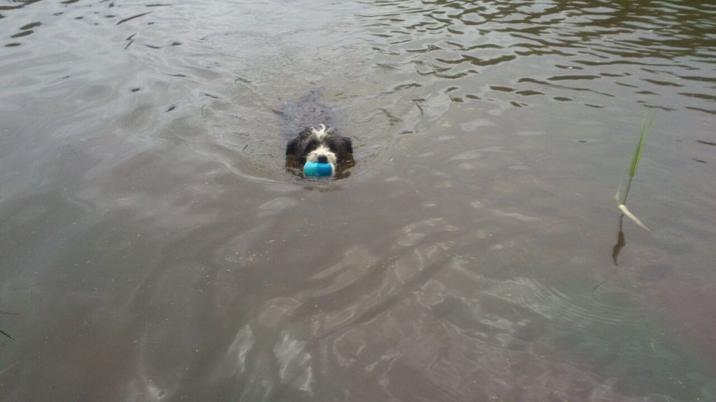 Dresscode-Zero Left Unseen