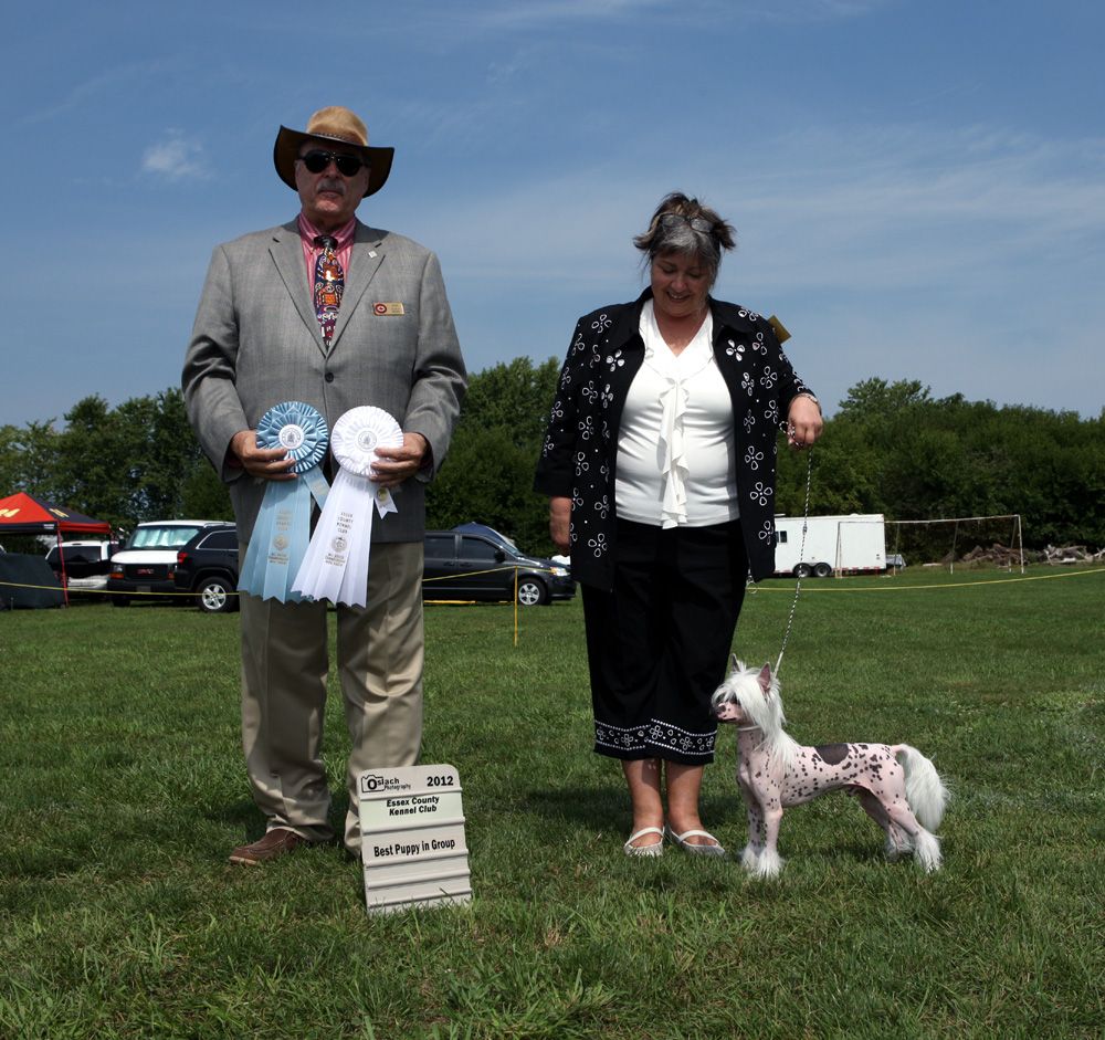 MBPIG BBPIS CanCh SassyTails Twisting Fate