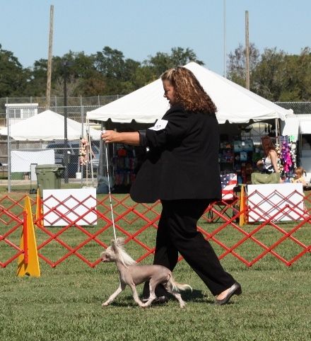 Diva's A Good Night for Streaking thl