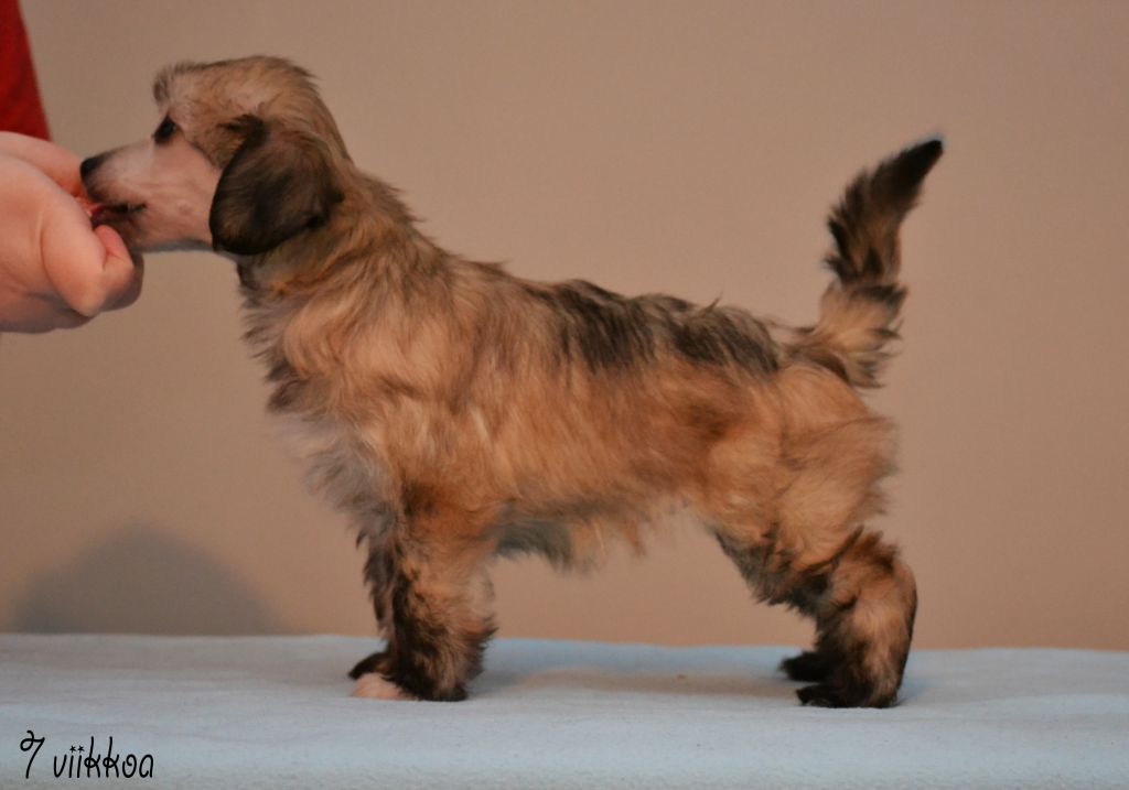 Fiabella's Night Of Your Life