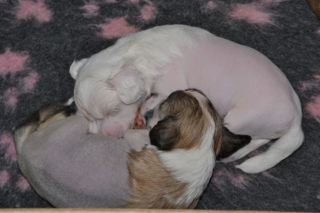 Fiabella's In Love With Myself