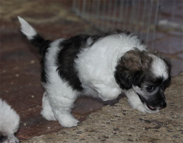 Entourage In The Mood To Parti