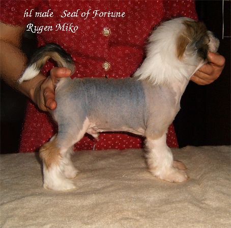 Seal of Fortune Rugen Miko