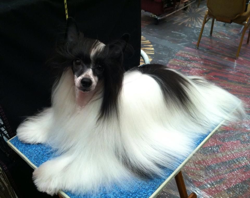 Gracieux Designed To Move You