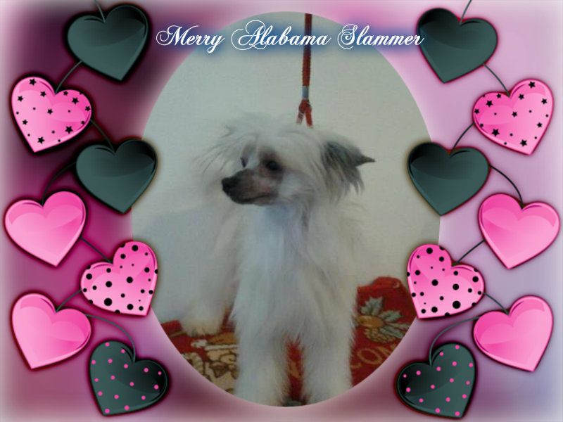 Merry Alabama Slammer