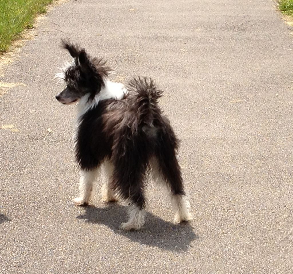 Pariansoez Harlie Quinn at WildDenya