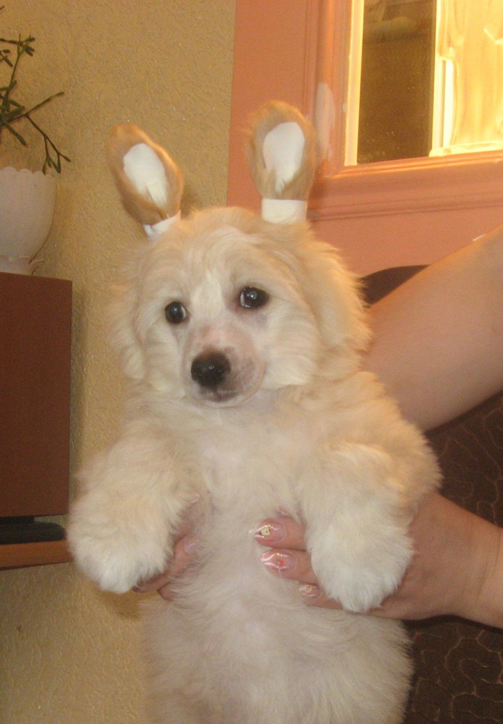 Magnet Success Bliss Juhl 