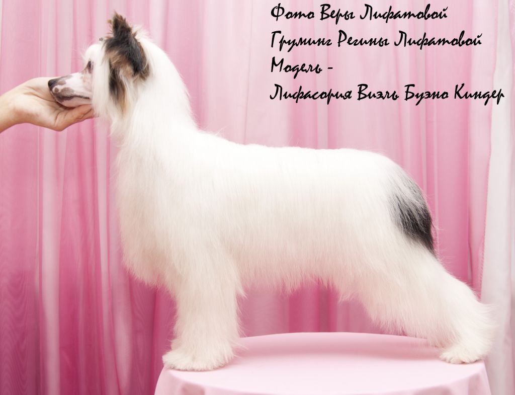 Lifasoria Viel Bueno Kinder