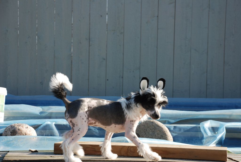 Bonniveras Just for you