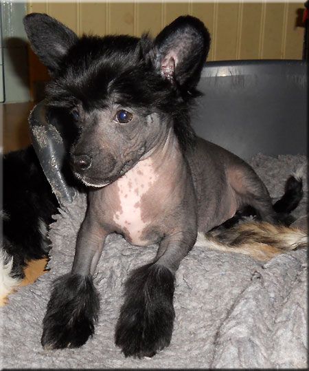 Marachinos Open Mind