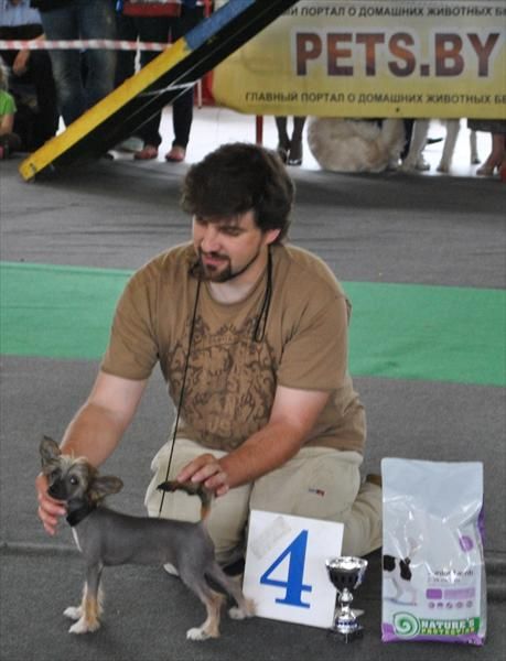 Persona Topgrate Gloria