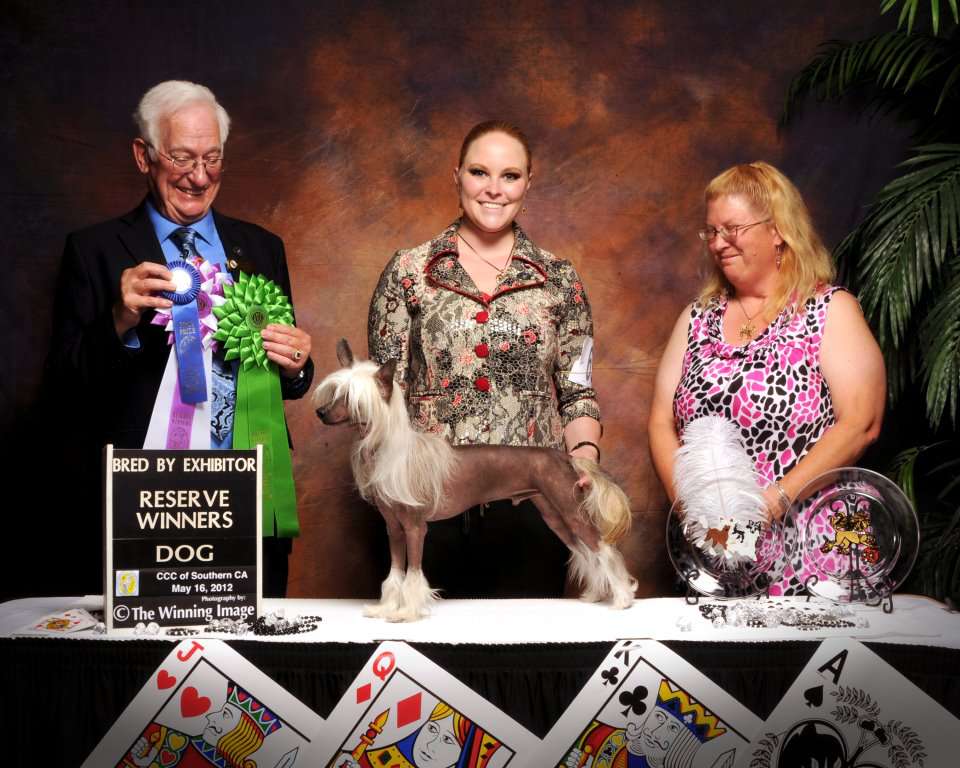 Risin Star's Simply The Best